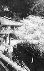紀三井寺