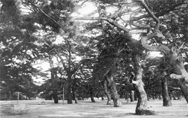 舞子公園
