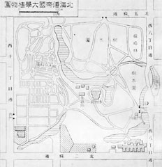 北海道帝国大学植物園